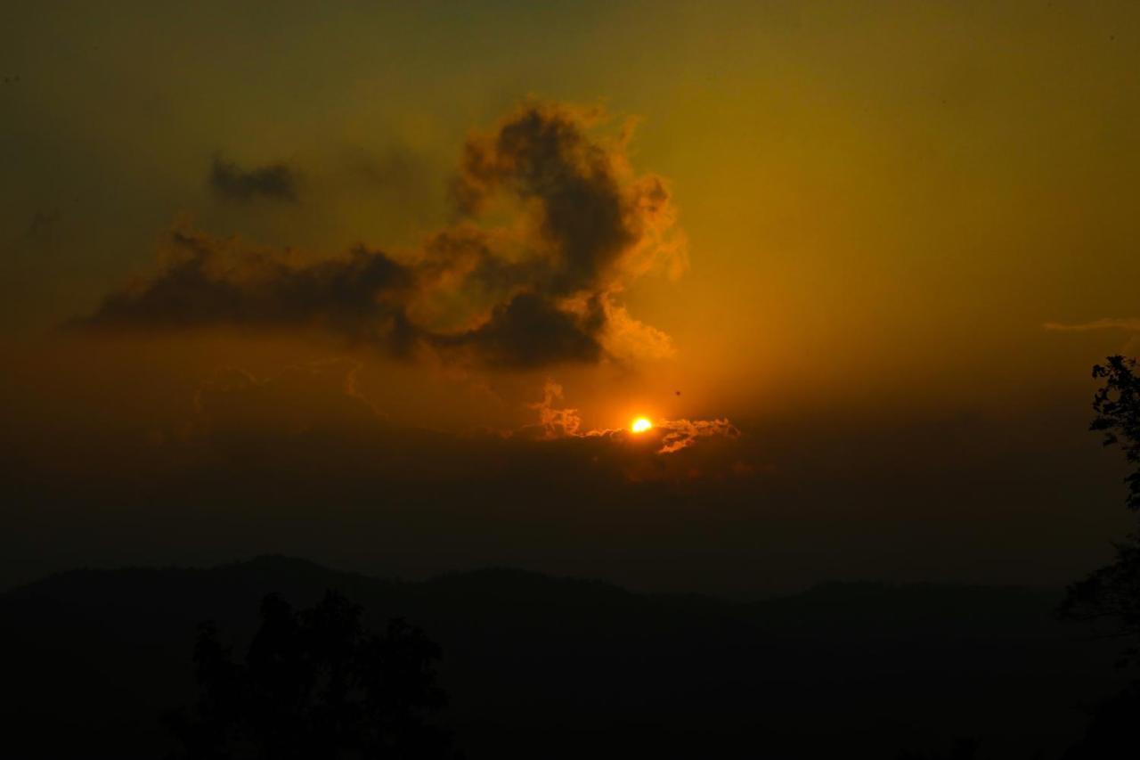 Copperhill- A Luxury Homestay Madikeri Zewnętrze zdjęcie