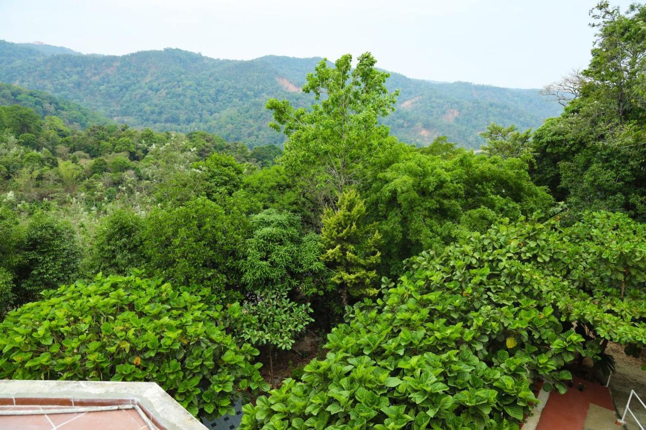 Copperhill- A Luxury Homestay Madikeri Zewnętrze zdjęcie